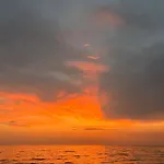 Otto * Kusadası