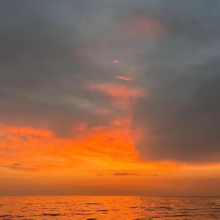 Otto * Kuşadası